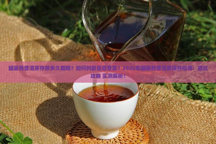 罐装熟普洱茶存放多久
