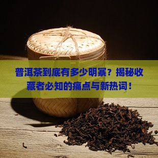 普洱茶有多少明寨