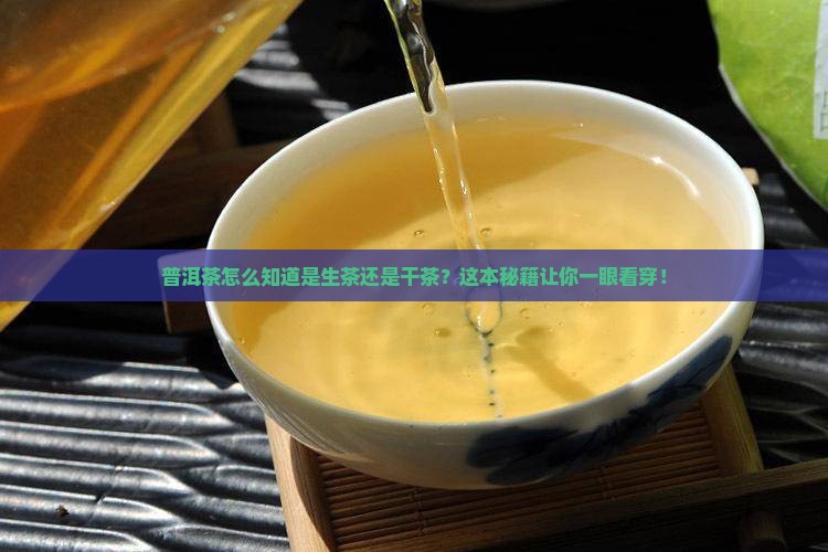 普洱茶怎么知道是生茶还是干茶