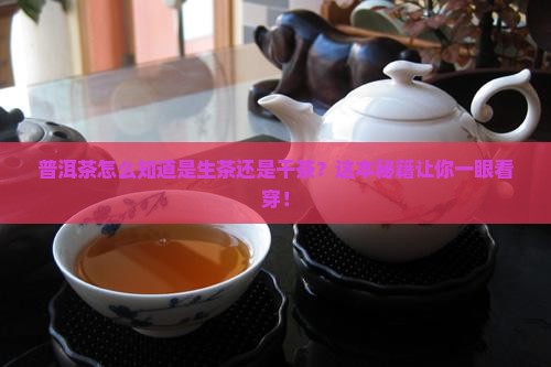普洱茶怎么知道是生茶还是干茶