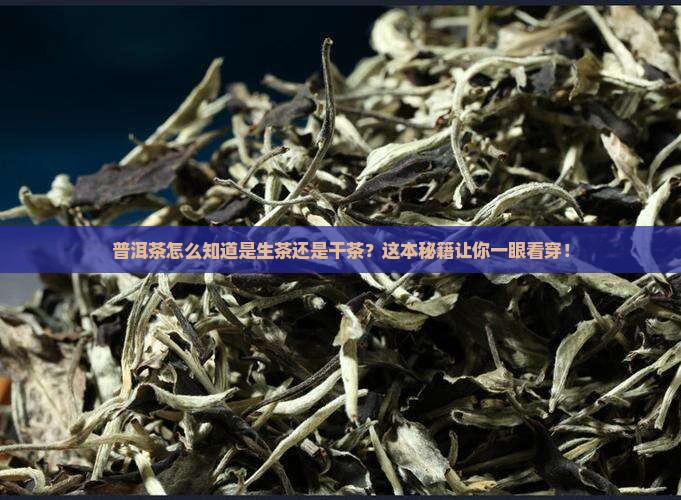 普洱茶怎么知道是生茶还是干茶