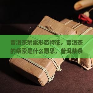 普洱茶条索形态