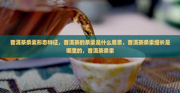 普洱茶条索形态