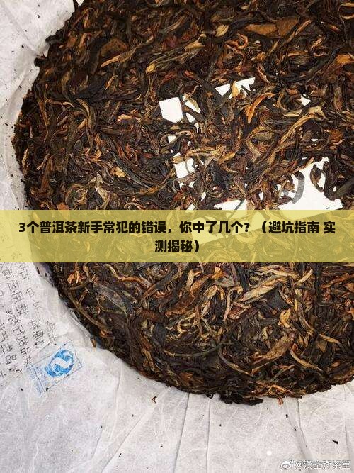 普洱茶杆多好吗