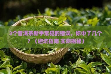 普洱茶杆多好吗