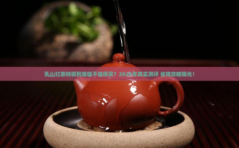 乳山红茶特级价格
