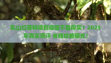 乳山红茶特级价格