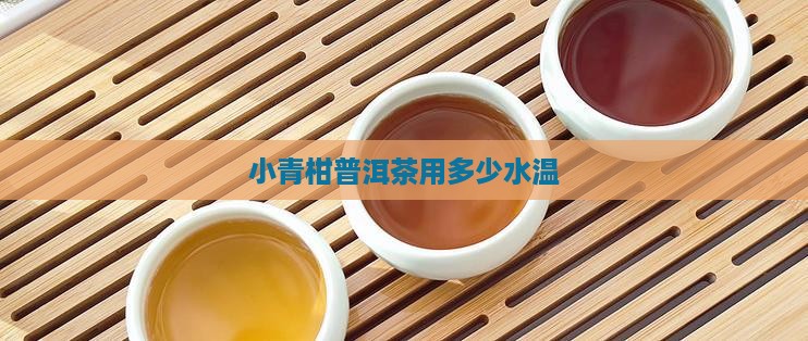 小青柑普洱茶用多少水温