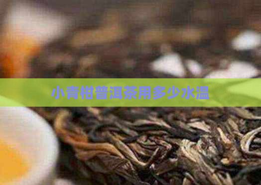 小青柑普洱茶用多少水温