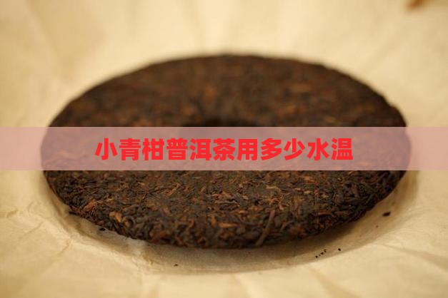 小青柑普洱茶用多少水温
