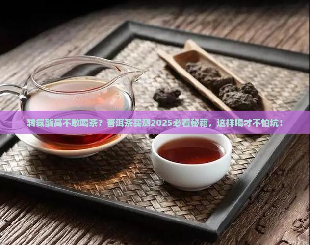 转氨酶高的人能喝普洱茶吗