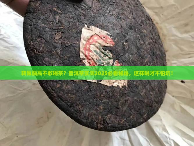 转氨酶高的人能喝普洱茶吗