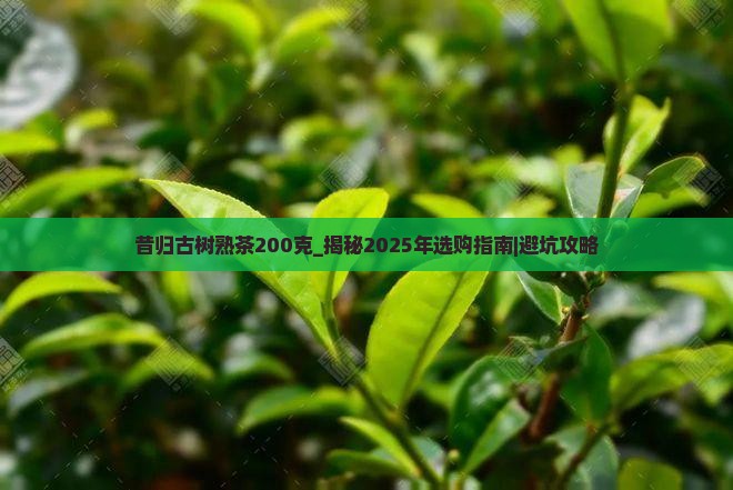 昔归古树熟茶200克