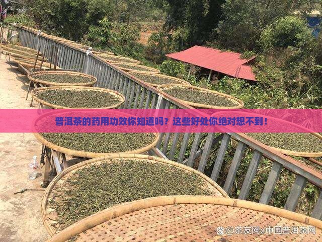 普洱茶的药用功效