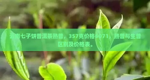 云南七子饼普洱茶熟普