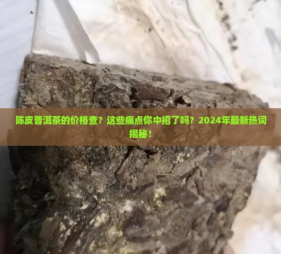 陈皮普洱茶的价格查