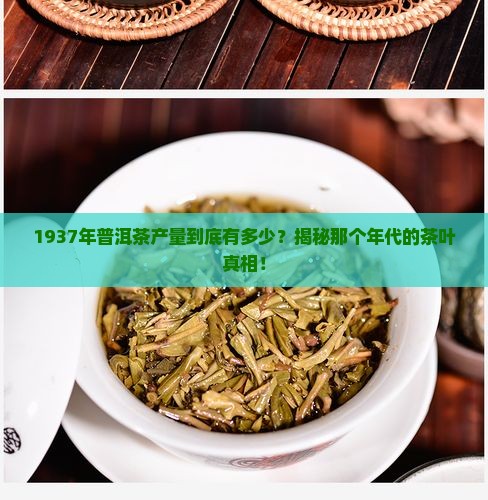 1937年普洱茶产量