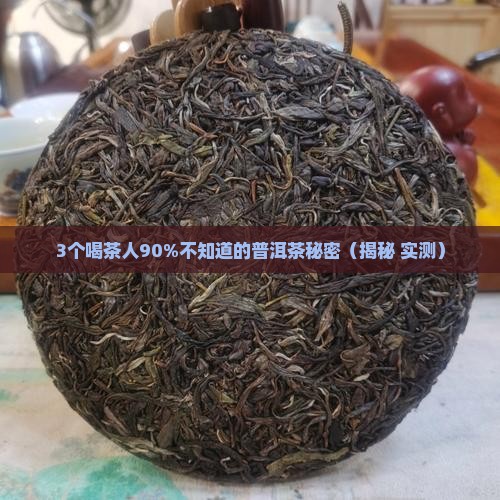 鑫卓群普洱茶奥运生茶