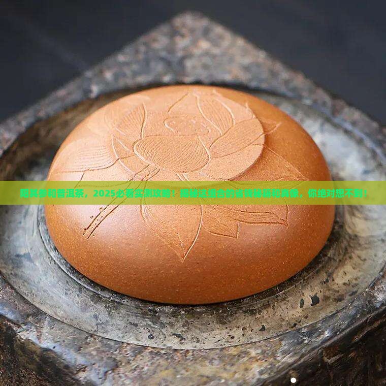 阳其参和普洱茶