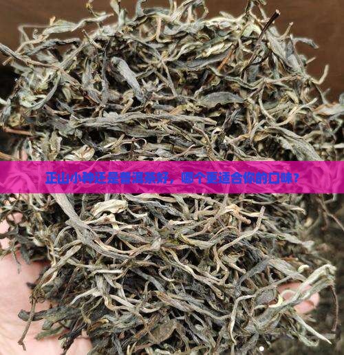 正山小种还是普洱茶好