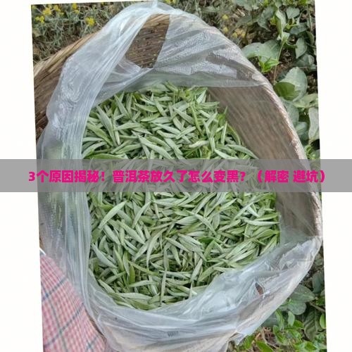 普洱茶为什么放久了会变黑