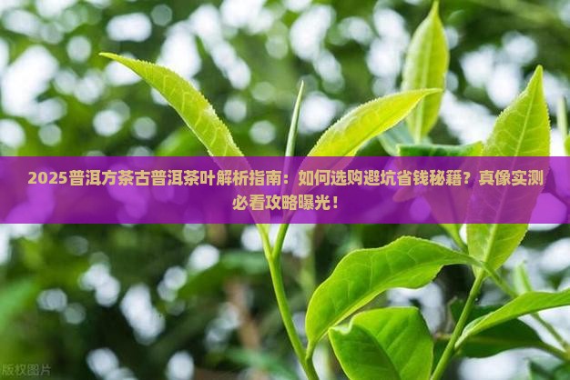 普洱方茶古普洱茶叶