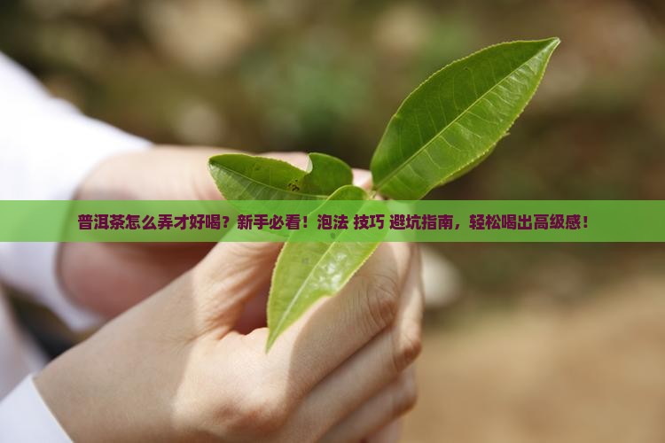 普洱茶怎么弄才好喝