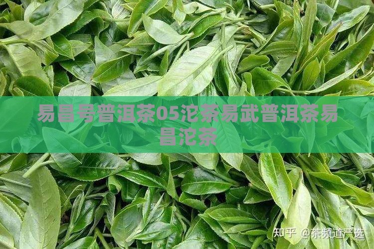 易昌号普洱茶05沱茶