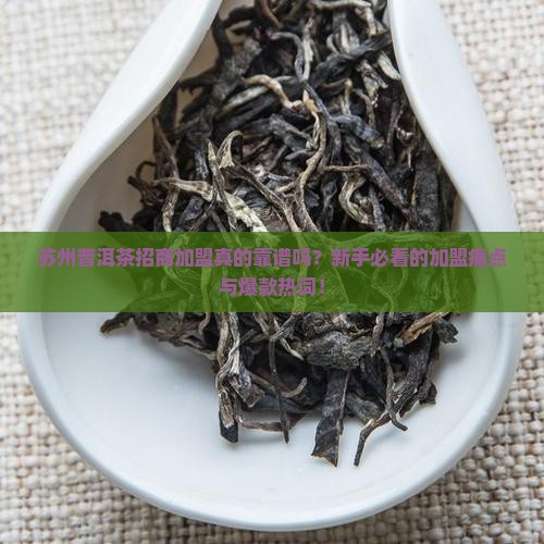 苏州普洱茶招商加盟