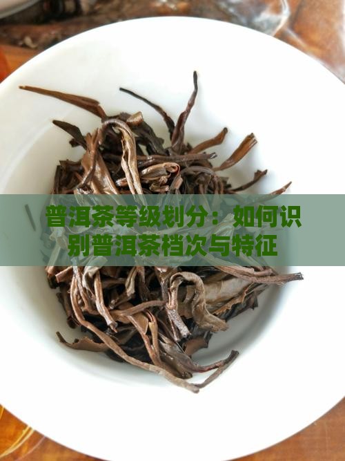 普洱茶等级划分：如何识别普洱茶档次与特征