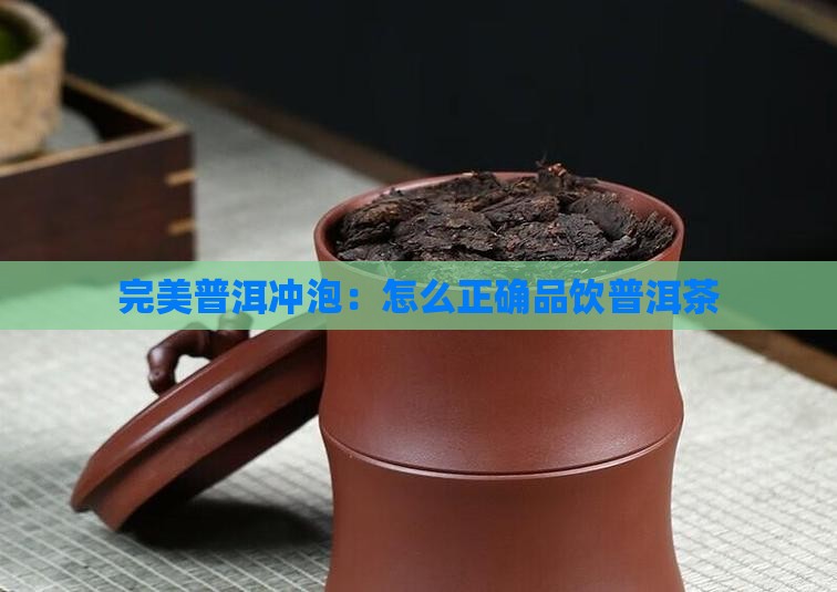 完美普洱冲泡：怎么正确品饮普洱茶