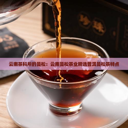 云南茶科所的曼松：云南曼松茶业精选普洱曼松茶特点