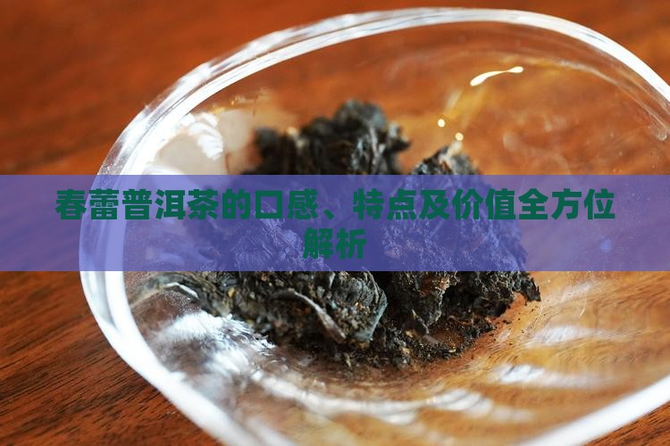 春蕾普洱茶的口感、特点及价值全方位解析