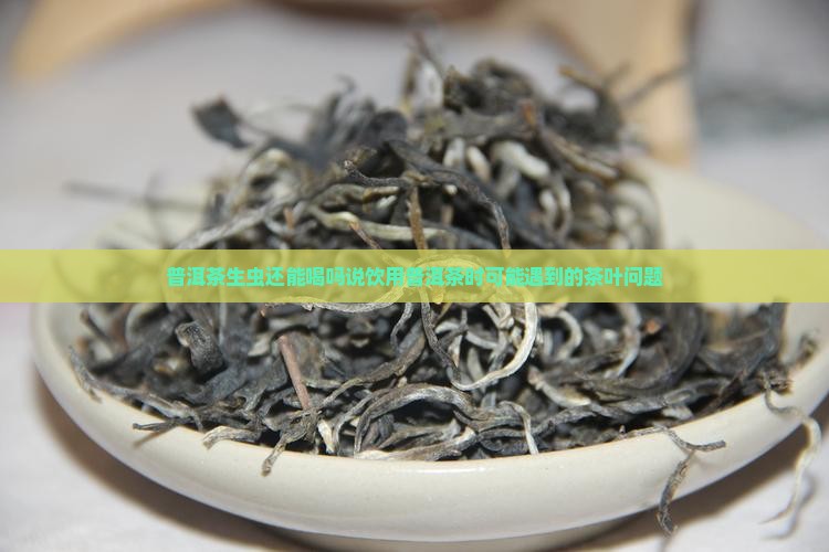 普洱茶生虫还能喝吗说饮用普洱茶时可能遇到的茶叶问题
