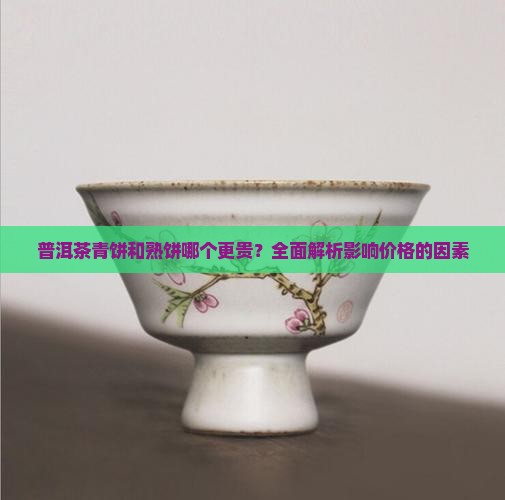 普洱茶青饼和熟饼哪个更贵？全面解析影响价格的因素