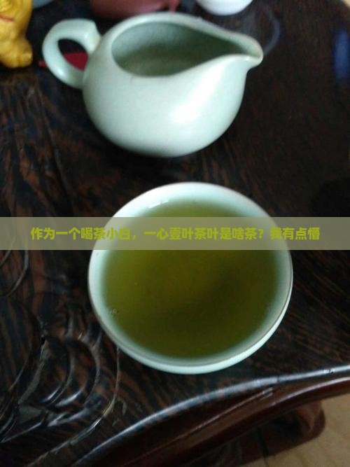 一心壹叶茶叶是什么茶