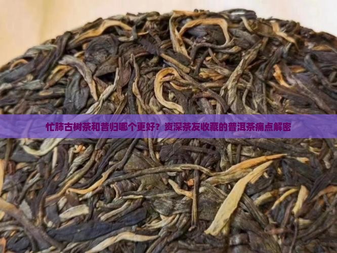 忙肺古树茶和昔归哪个好