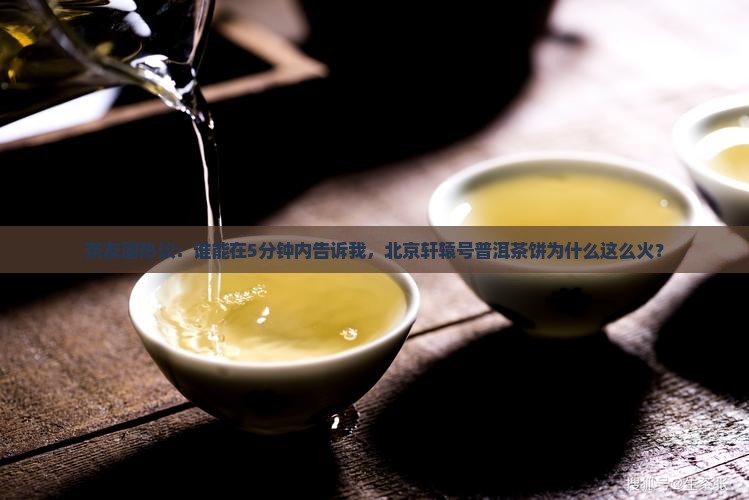 北京轩辕号普洱茶饼
