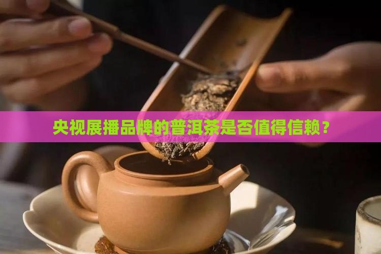 央视展播品牌的普洱茶好吗