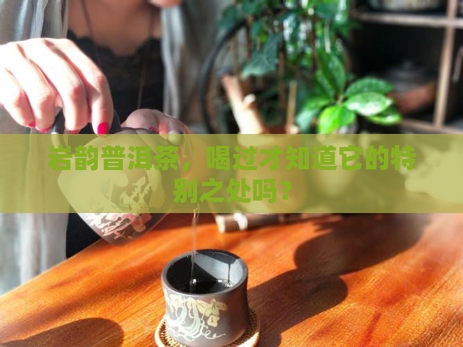 岩韵普洱茶好吗