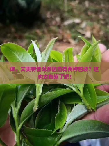 艾美特普洱茶有两种包装吗