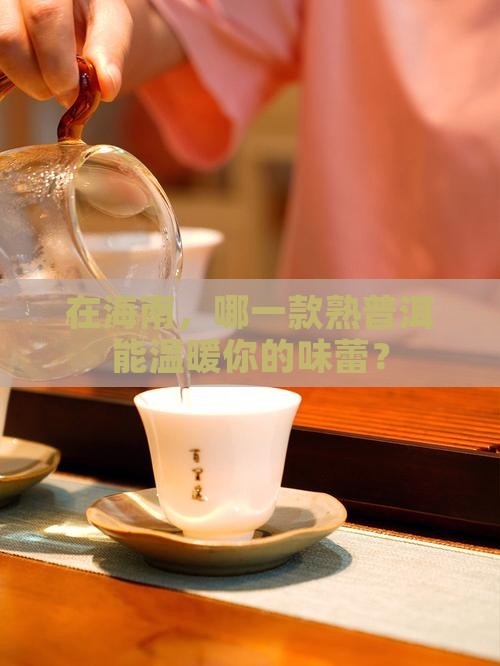 海南熟普洱茶哪家品质好