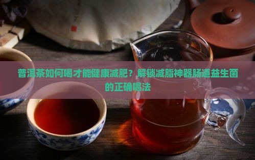 普洱茶如何喝才能健康减肥