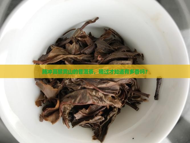 腾冲高黎贡山的普洱茶怎么样