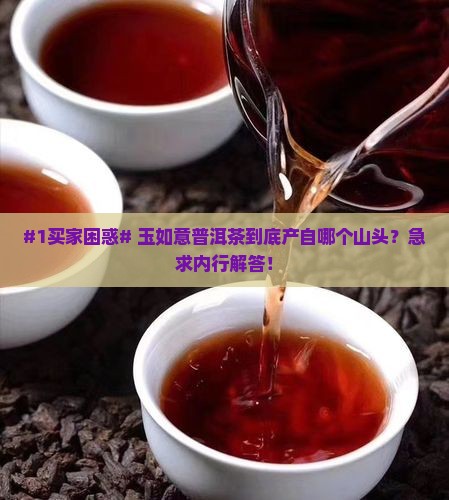 玉如意普洱茶是哪个山头的