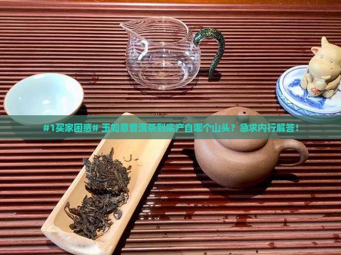 玉如意普洱茶是哪个山头的