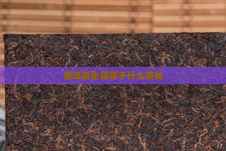 普洱茶生茶是属于什么茶类