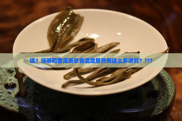 绿茶和普洱茶叶杀青温度