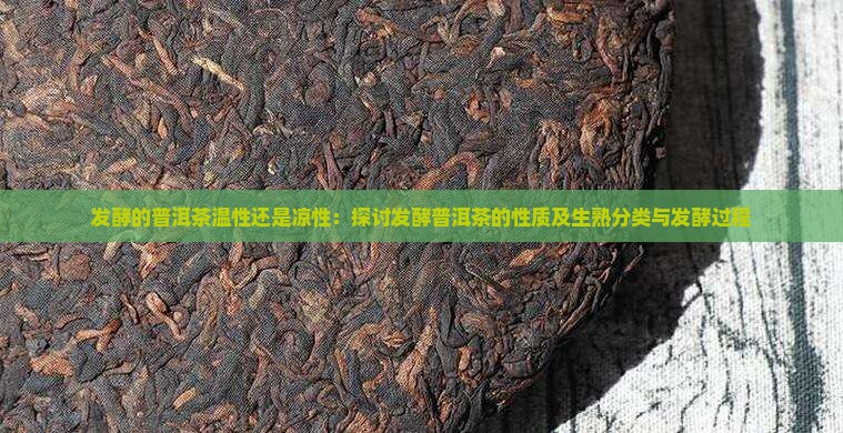 发酵的普洱茶温性还是凉性