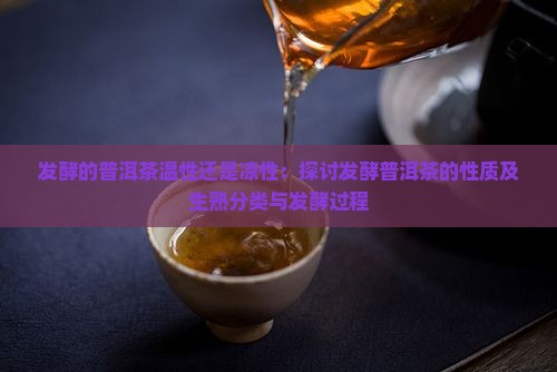 发酵的普洱茶温性还是凉性